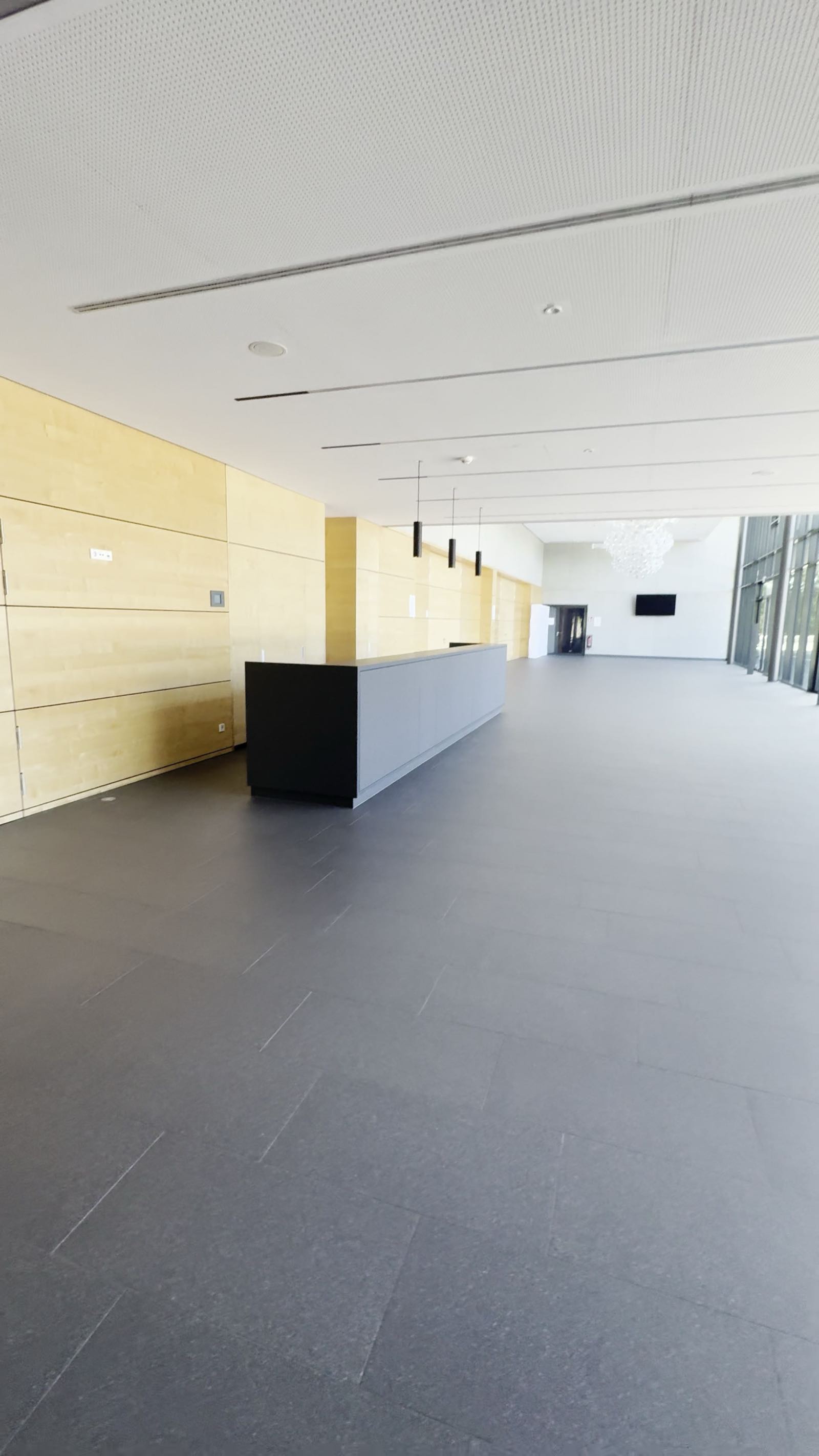 Ein heller Saal mit Fensterfront